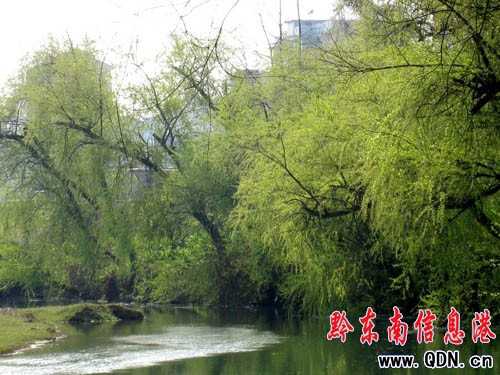 岑鞏春意盎然美不勝收(組圖)