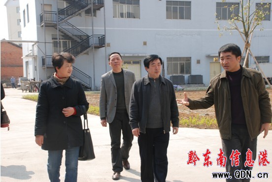 龍黔清深入貴州苗仁堂制藥有限責任公司開展調研