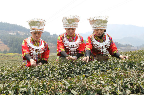 �c���g�[��һ�