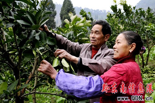 һλŮ��ٵľGɫ��(m��ng)���D��