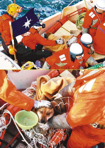 �ձ��l�F�����ˮ��3�ܵġ�����С��(�D)