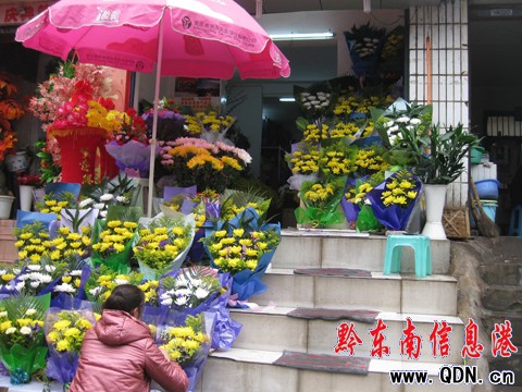 又到清明祭掃時 綠色“低碳”成主流(組圖)