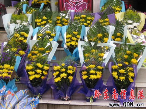 又到清明祭掃時 綠色“低碳”成主流(組圖)