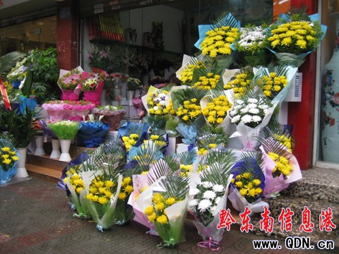 又到清明祭掃時 綠色“低碳”成主流(組圖)