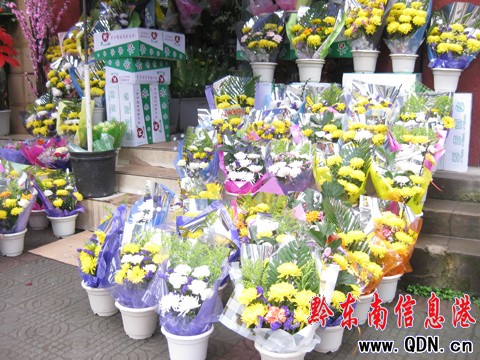 又到清明祭掃時 綠色“低碳”成主流(組圖)