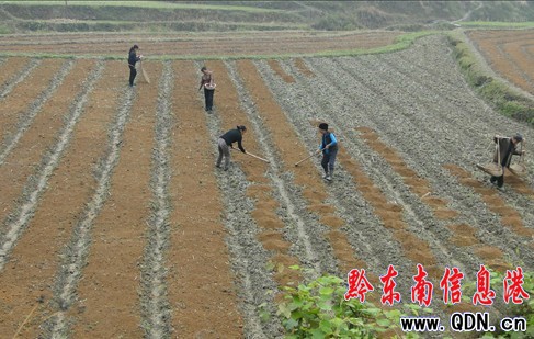 ����ǰ�� �어������æ���D��