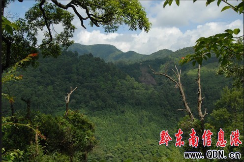 劍河百里原始闊葉林森林公園(組圖)