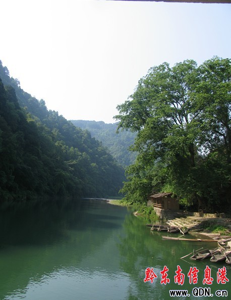 劍河百里原始闊葉林森林公園(組圖)