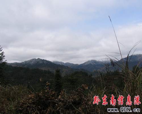 劍河百里原始闊葉林森林公園(組圖)