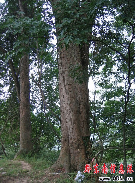 ���ӿh����С�����L�����ˣ��D��