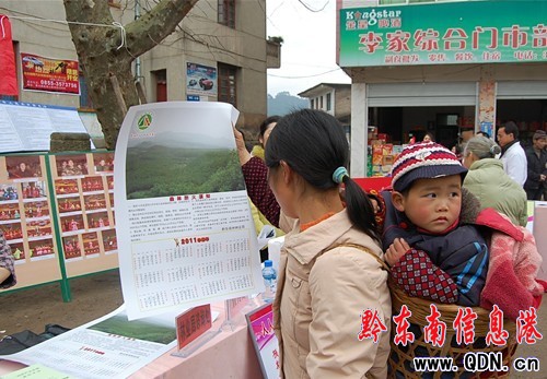 �얿hɭ�ַ��������������l�� ���D��