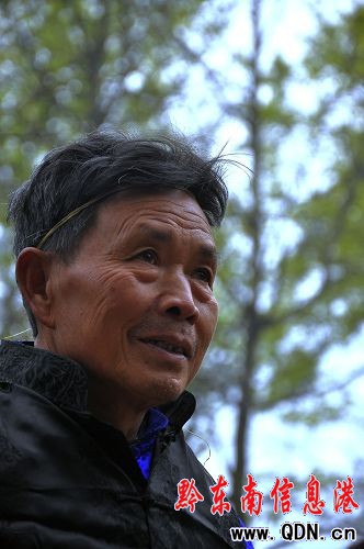 �P�������Ø��(zh��n)����ͬ���g�ȹĲع�(ji��)���M�D��