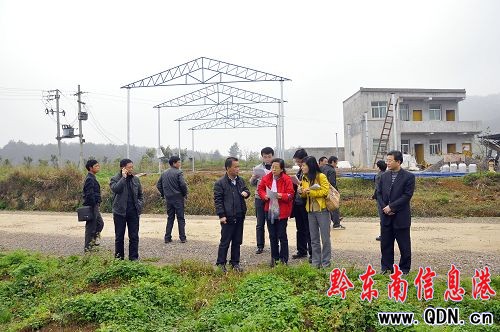 人民日報社采訪團到麻江縣下司鎮考察(組圖)