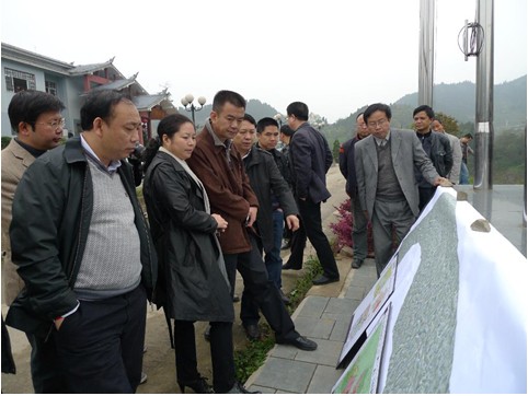 上海中電綠科集團董事局主席陳盾一行到麻江考察