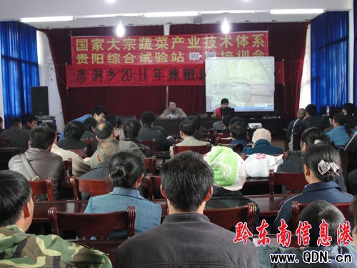 �\�������lչ�����Nֲ���D��