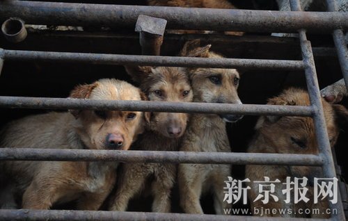 ���ﱣ�o�M������·�r�\��܇��ֹ����(�M�D)