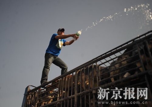 ���ﱣ�o�M������·�r�\��܇��ֹ����(�M�D)