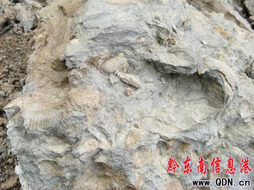 ��h��կ�l�F���ƹ����ﻯʯȺ���D��