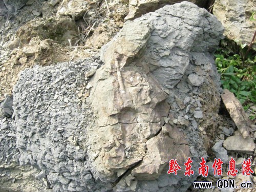 ��h��կ�l�F���ƹ����ﻯʯȺ���D��