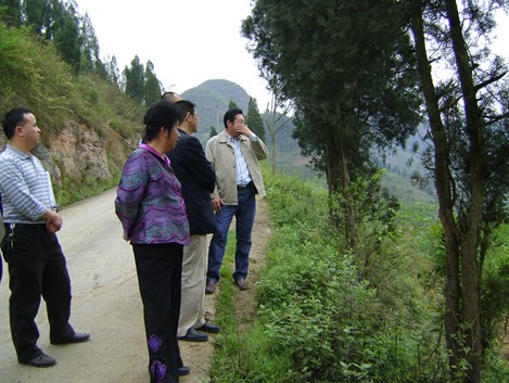 孫登峰陪同大中華國際集團一行到我州考察(圖)