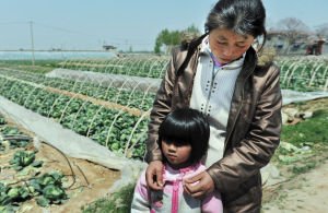 ɽ�|���Ĳ˃r�����8���Xһ�� ���r�^���Ԛ�