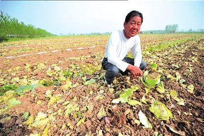 �̄ղ��o��������I��ُ���N�߲�