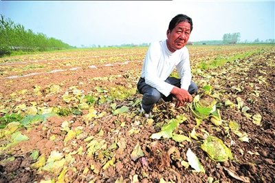 �����Ј�����r��ͬ���µ�50% �����yҊ��r��