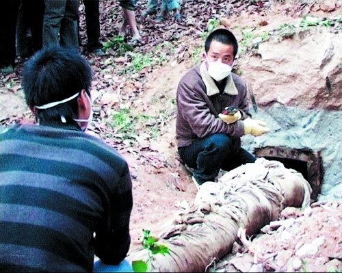 ���������ڳ�һ���Ůʬ ȫ��������ľ����