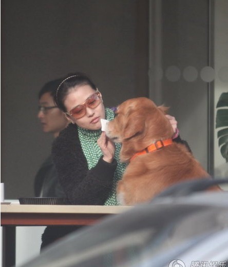 �ܺ������˴����s���� ϯ�g�������F�ǐ�Ȯ(�D)