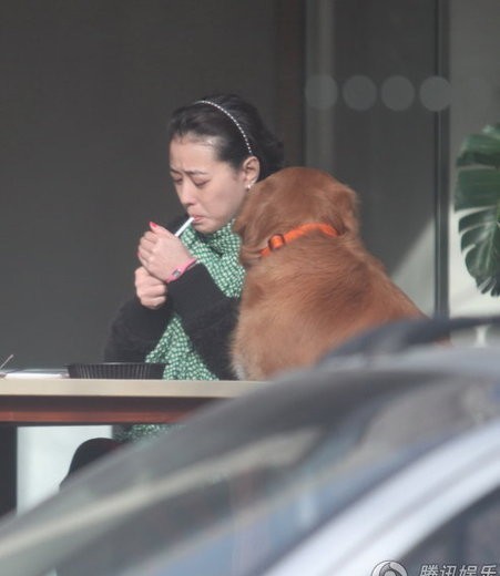 �ܺ������˴����s���� ϯ�g�������F�ǐ�Ȯ(�D)