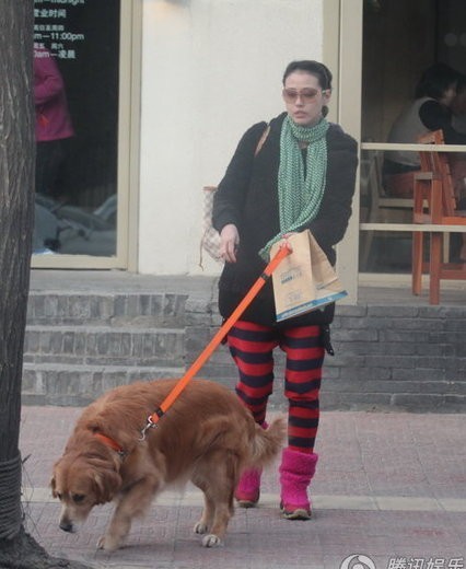 �ܺ������˴����s���� ϯ�g�������F�ǐ�Ȯ(�D)