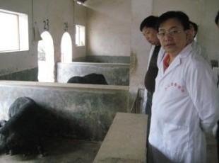 �����L����µ��Ľ��{���r�I�a�I������(�M�D)