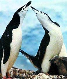 �����ƌW���������z��׻������۰��q���x��ͬ����g��