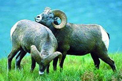 ���ִ������ֻ��ĸ����F�������О�r�ŕ��c֮���䡣