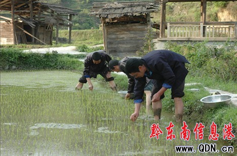 ��ƽ�h�ƌW������4�f�஀���D��