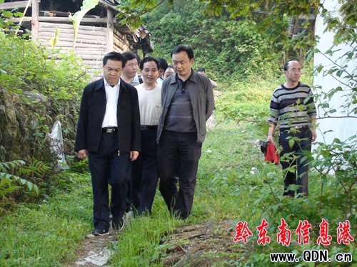 ����ï����ֱ�C�P���T�������_չ