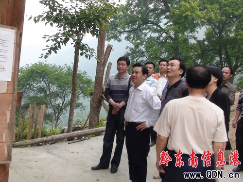 ����ï����ֱ�C�P���T�������_չ