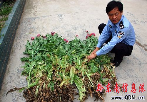 ����������ڻ��_���G���M�D��