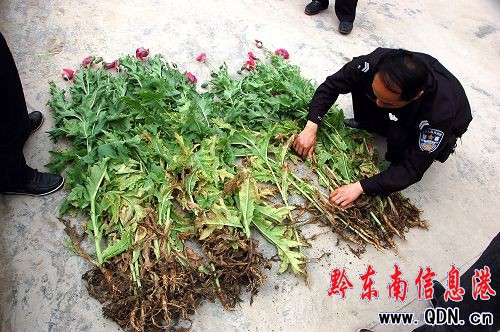 ����������ڻ��_���G���M�D��