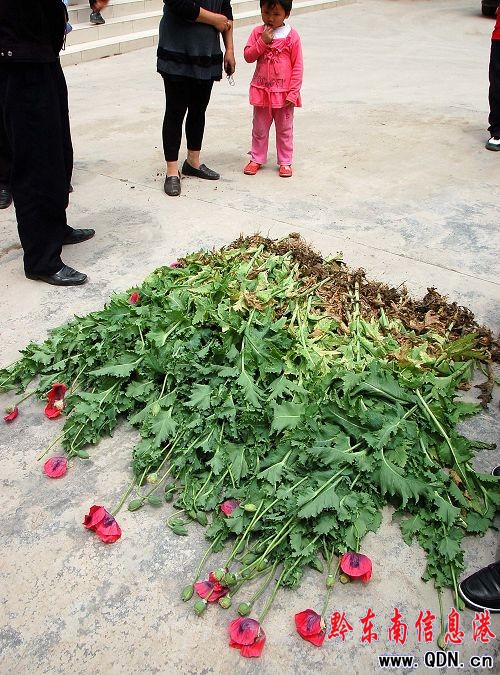 ����������ڻ��_���G���M�D��