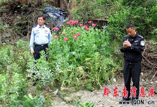 ����������ڻ��_���G���M�D��