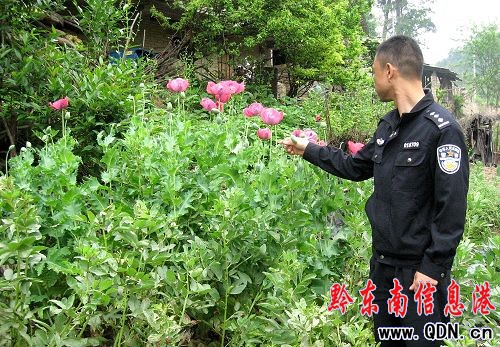 ����������ڻ��_���G���M�D��