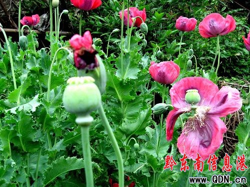 ����������ڻ��_���G���M�D��