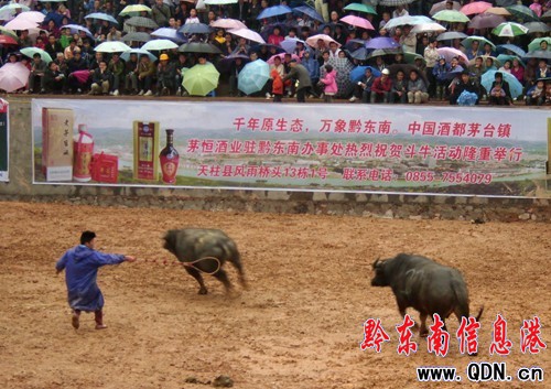 ��һ������ ��ţ��(zh��ng)�Խo�㾫�ʣ��D��