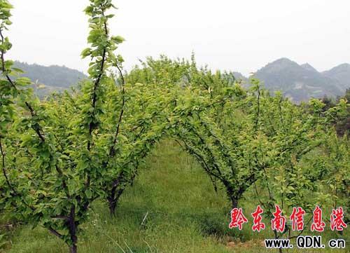 ��կ���{(di��o)�(zh��n)���Ҵ�͠�����ϲ�ˣ��D��