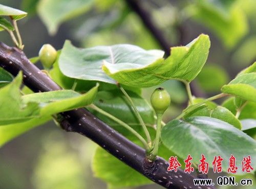 ��կ���{(di��o)�(zh��n)���Ҵ�͠�����ϲ�ˣ��D��