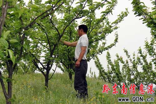 ��կ���{(di��o)�(zh��n)���Ҵ�͠�����ϲ�ˣ��D��