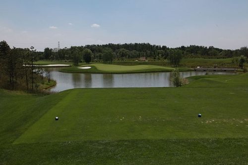 日照鋼鐵被曝在鳥巢附近擁有非法高爾夫俱樂部