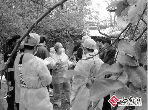 �����Q�cһ���Ӛ���5�˂�1�˺��Ԛ� (�D)