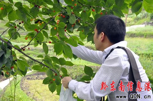 �������� ������͸��M֦�^���M�D��